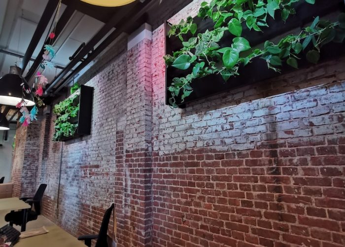 Living Greenwall See Tickets