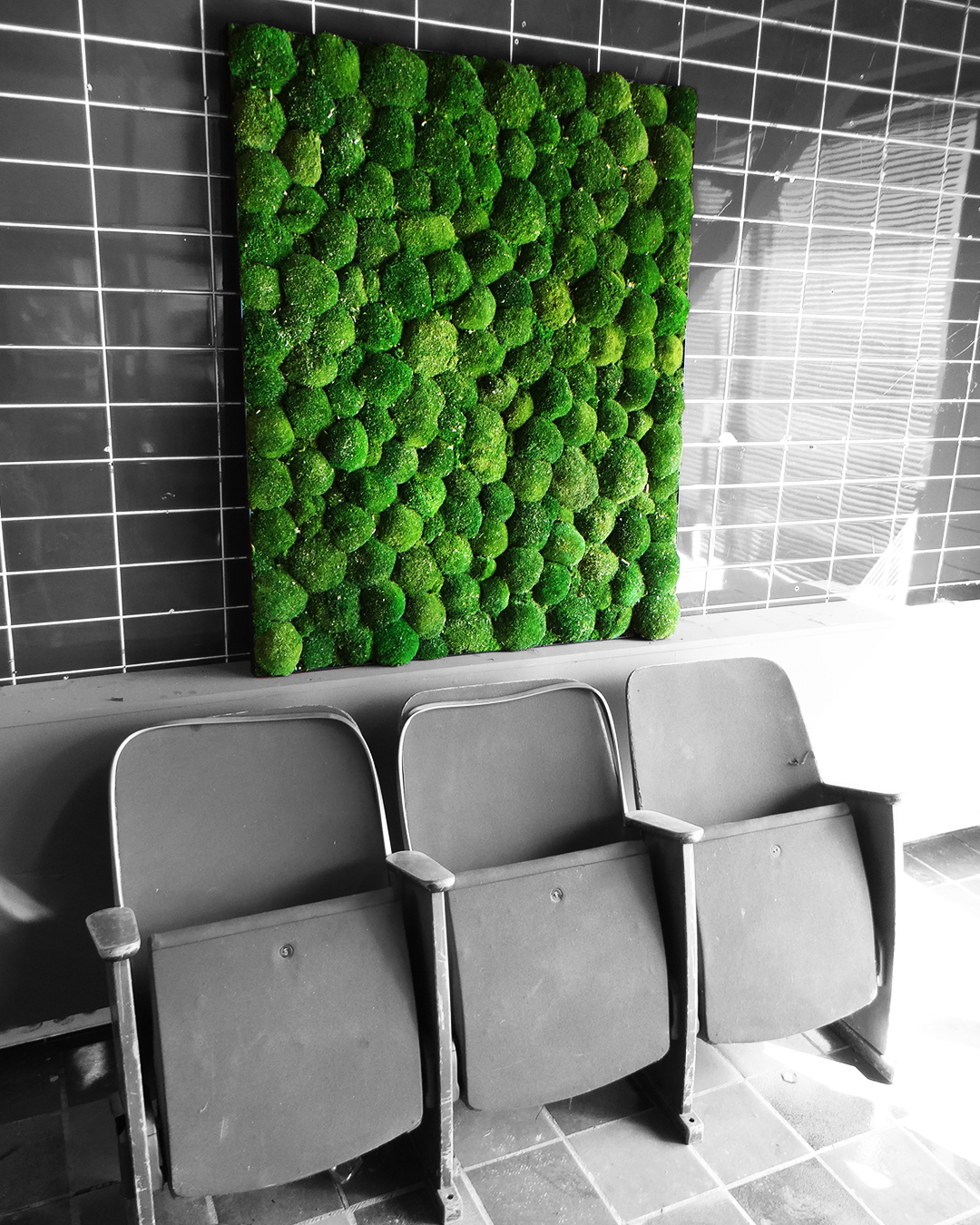 Moss Frame - Green Wall - Amsterdam