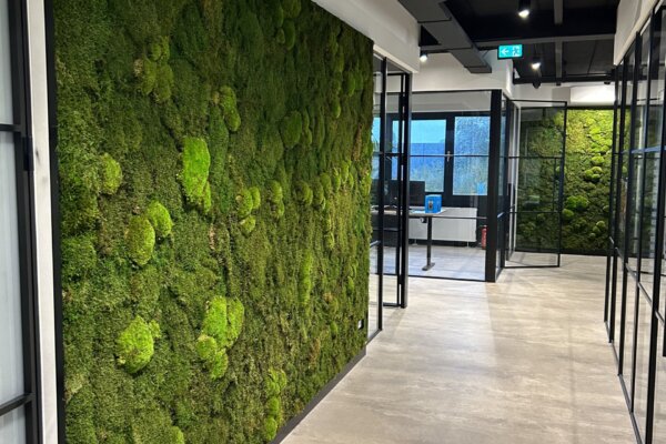 Moss Wall Moswand Interieur Design Plantenwand Amsterdam Groene Wand